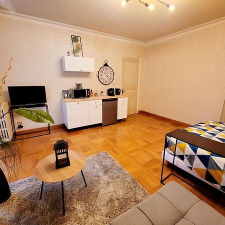 Superbe Appartement Calme Et Spacieux Graulhet Eksteriør billede