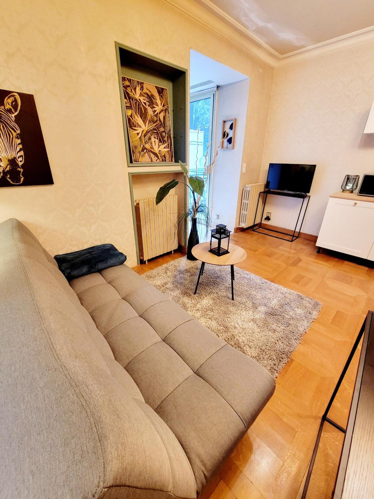 Superbe Appartement Calme Et Spacieux Graulhet Eksteriør billede