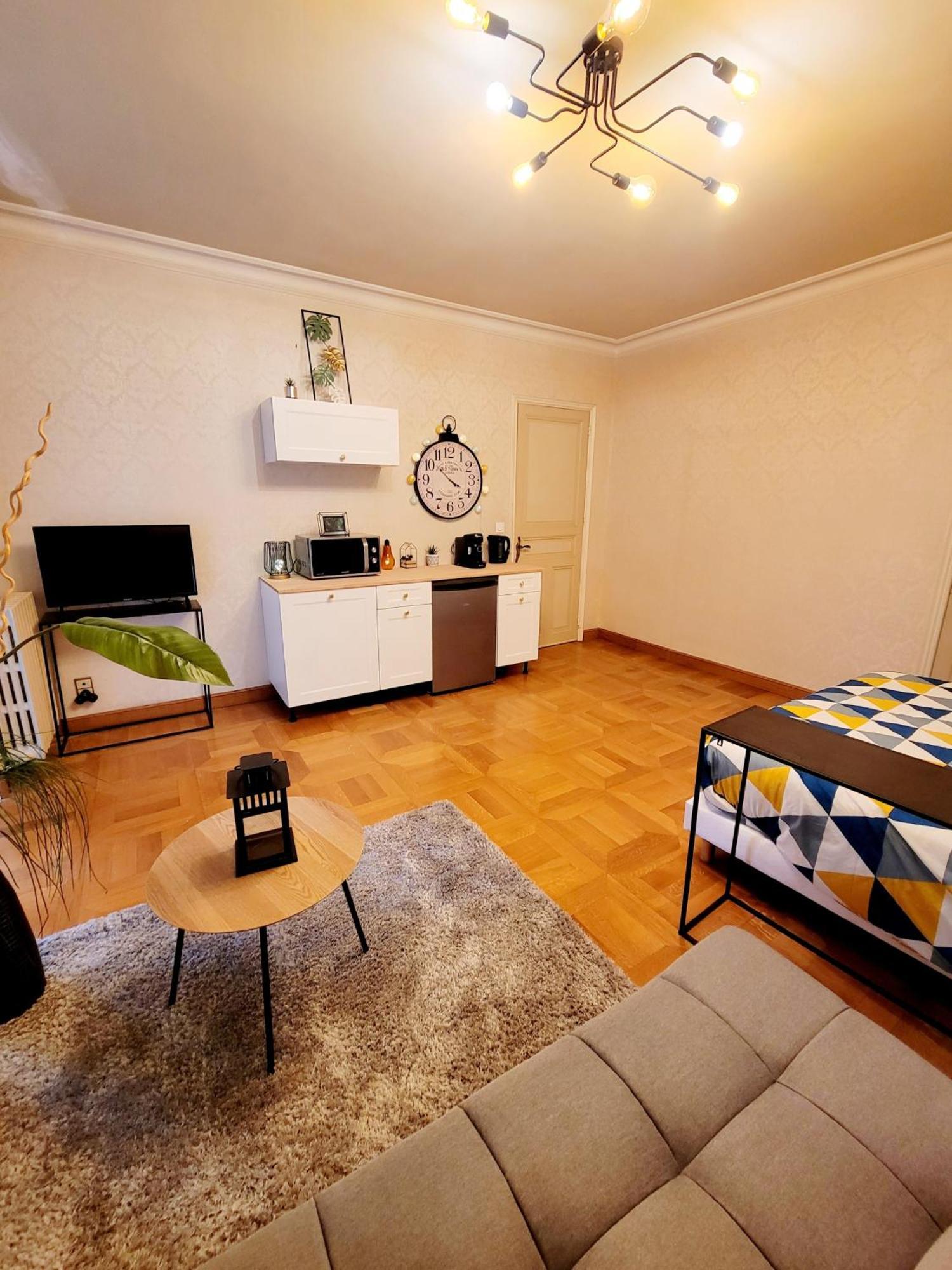 Superbe Appartement Calme Et Spacieux Graulhet Eksteriør billede